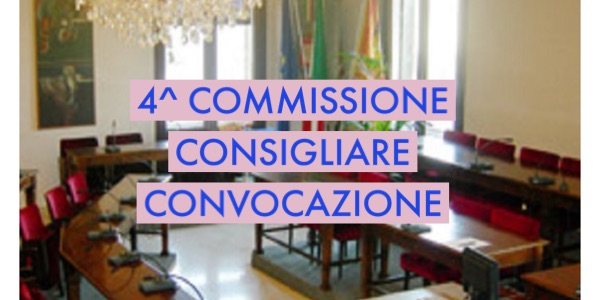 IV Commissione Consiliare Permanente "Diritti e Politiche Sociali, Volontariato, Pubblica Istruzione, Sport, Pari Opportunità"