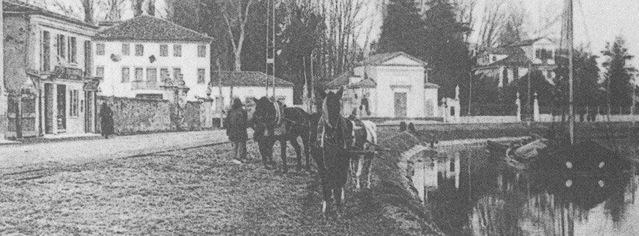 Fotografia storica di Mira: Burcio Trainato da Cavalli