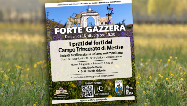 2026 forte gazzera